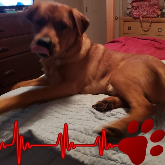 Meet your Posher, Pamela - Picture 1 of 1